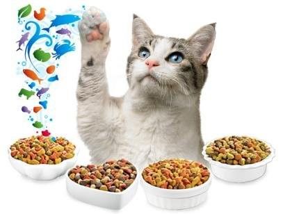 1000kg/h 容量 汎用ソリューションのための自動汎用犬用食品生産ライン
