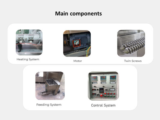 先進的な自動 コンパクト カルプ エビ魚飼料を作る機械