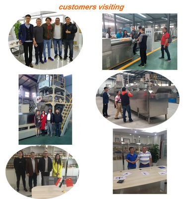 パフドコーンスナック製造機械 軸承コアコンポーネントを持つ自動挤出機