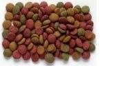 ペットフード魚飼料ペレット製造ペレットプラントのためのツインスクリューエクストルーダーマシン