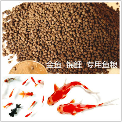 最先端 の 飼料 製造 機械 を 用い,魚 飼育 場 の 潜在力 を 最大限に 発揮 する